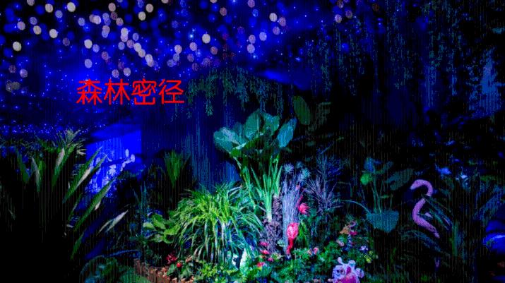 妙鸭相机app下载官网